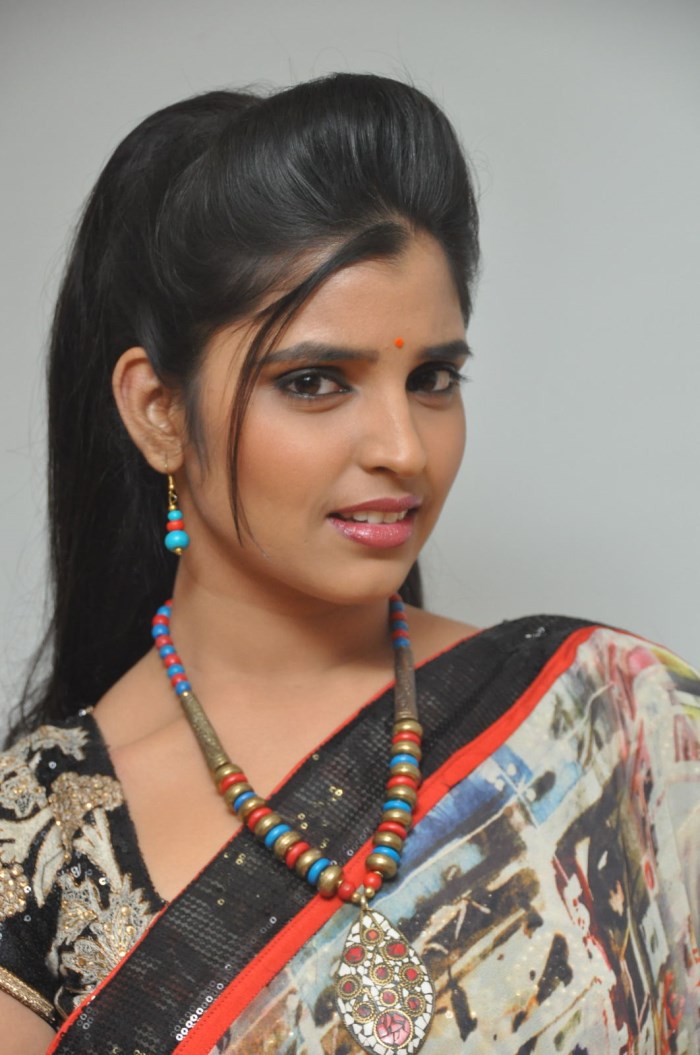 Gate Movie Audio Launch