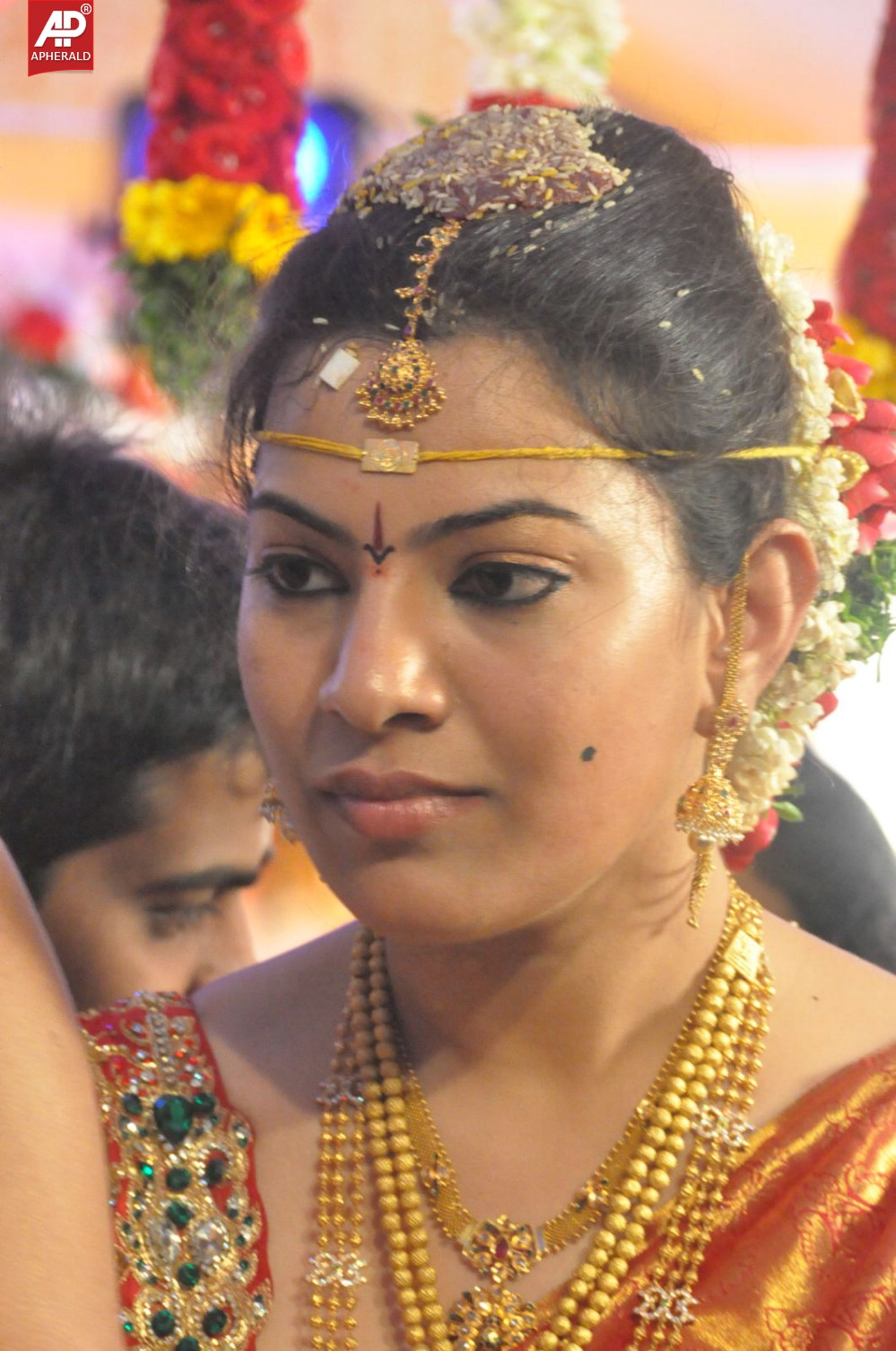 Geeta Madhuri Wedding Photos 1
