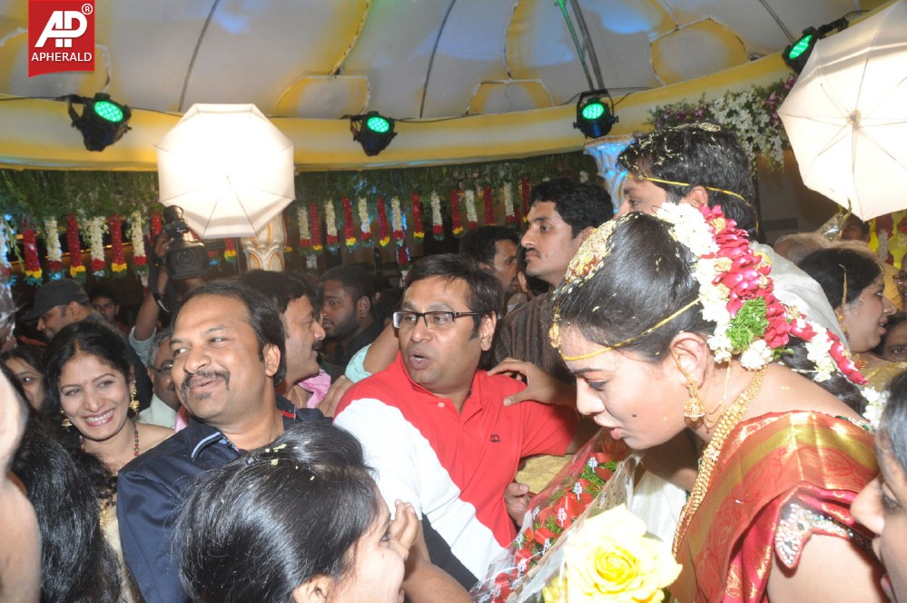Geeta Madhuri Wedding Photos 1