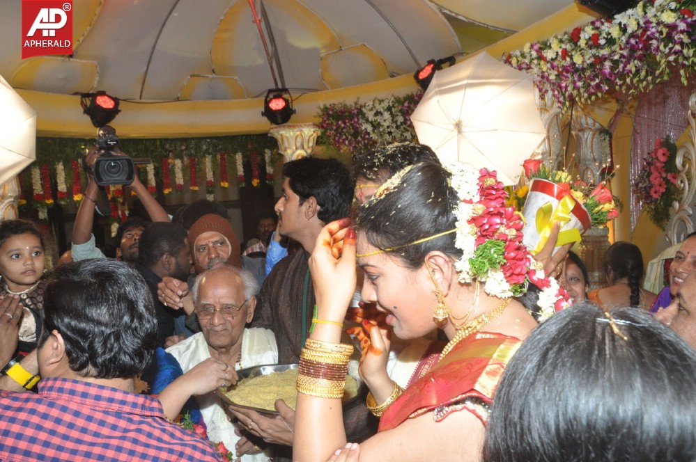 Geeta Madhuri Wedding Photos 1