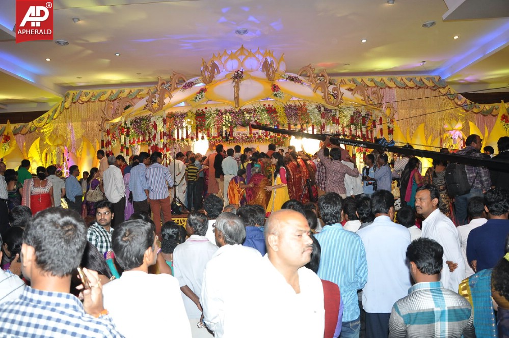 Geeta Madhuri Wedding Photos 1