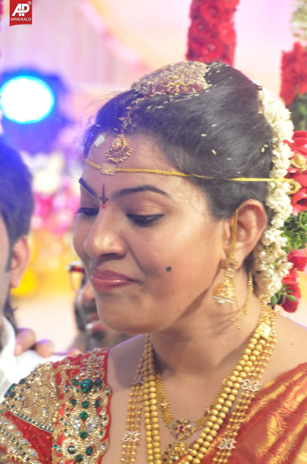 Geeta Madhuri Wedding Photos 1