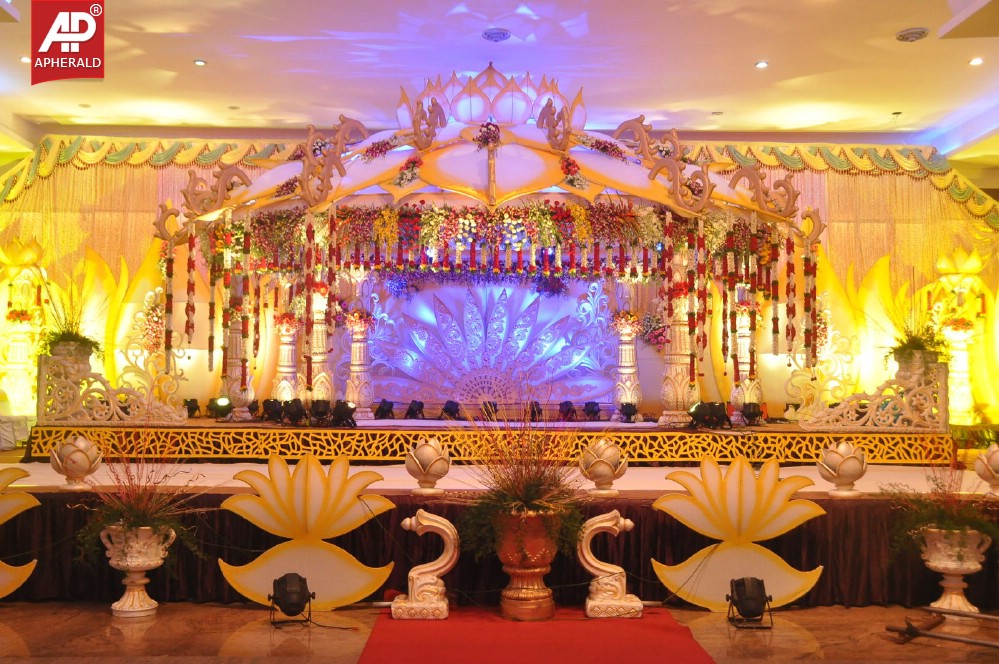 Geeta Madhuri Wedding Photos