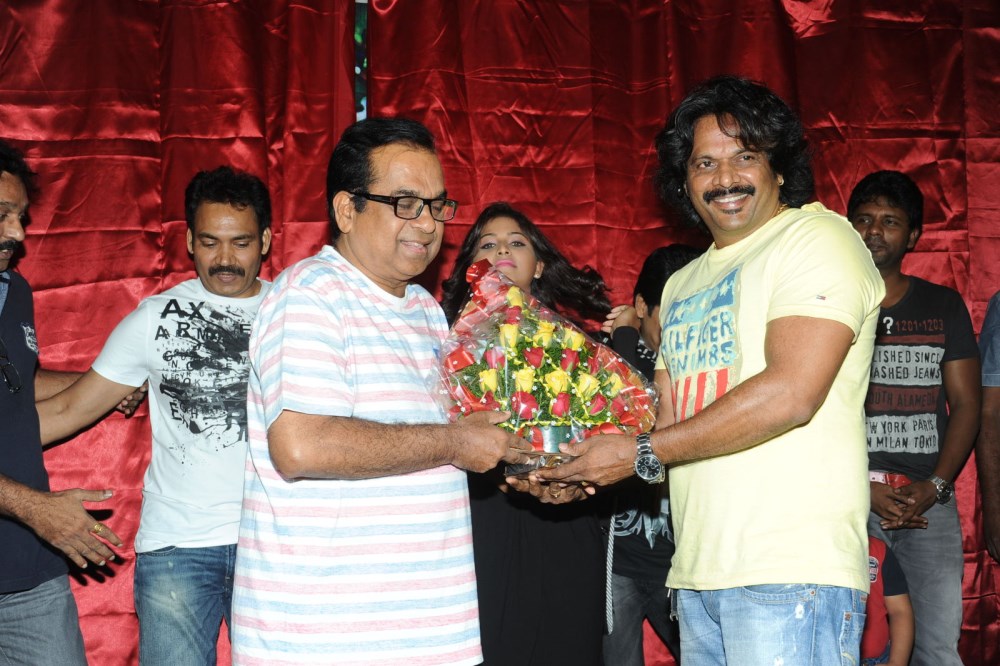 Geethanjali Movie New Press Meet Stills