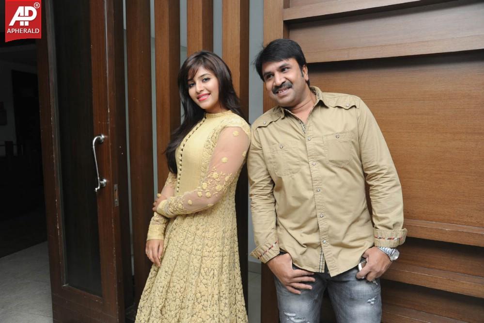 Geethanjali Success Meet Photos