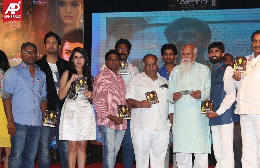 Golden Chance Movie Audio Launch