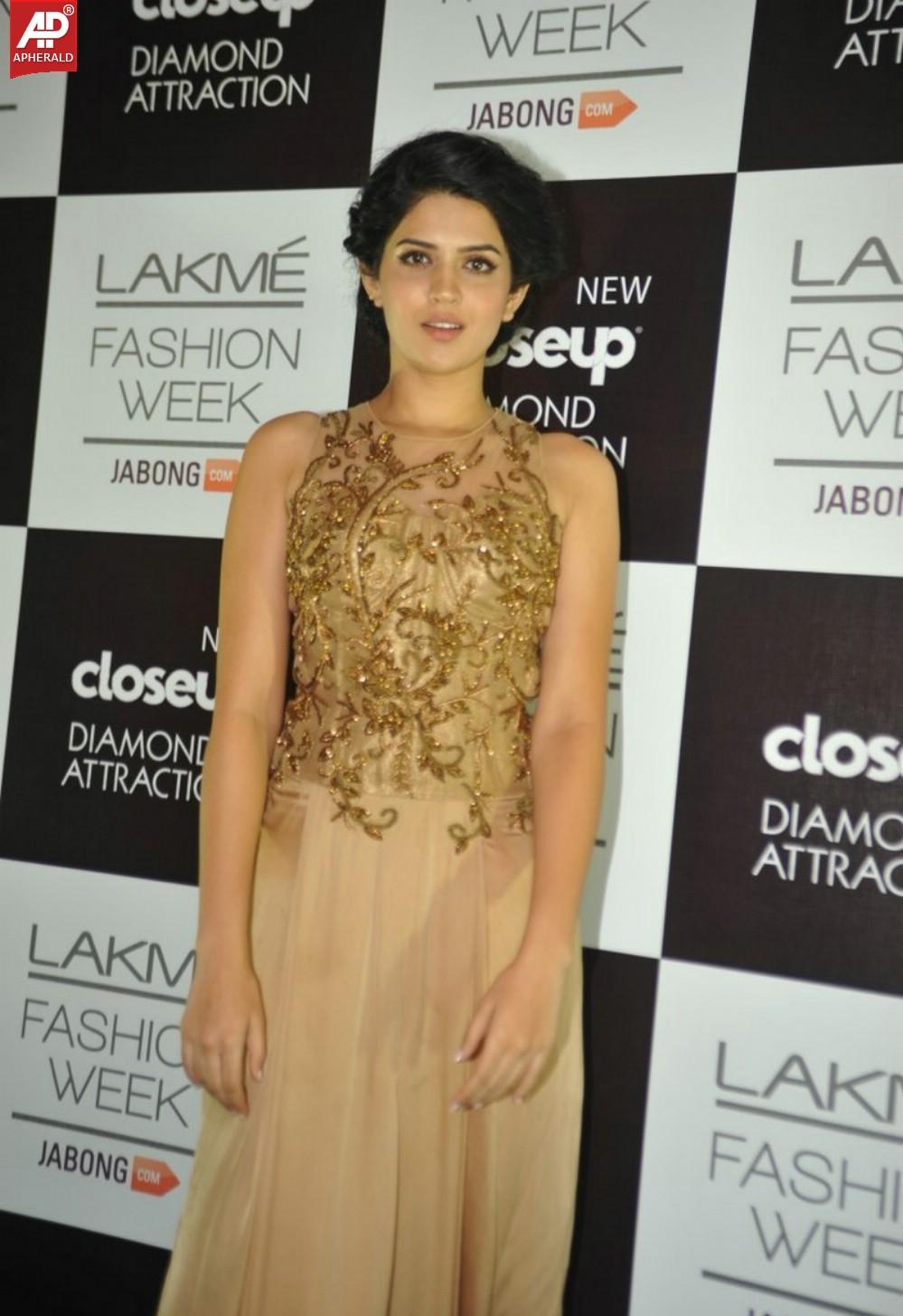 Bolly Celebs at Grand Finale Day Of LFW Winter Festive 2014