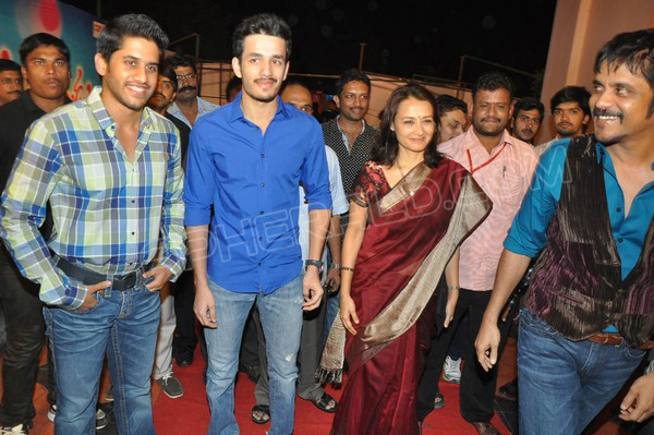 Greeku Veerudu Movie Audio Launch