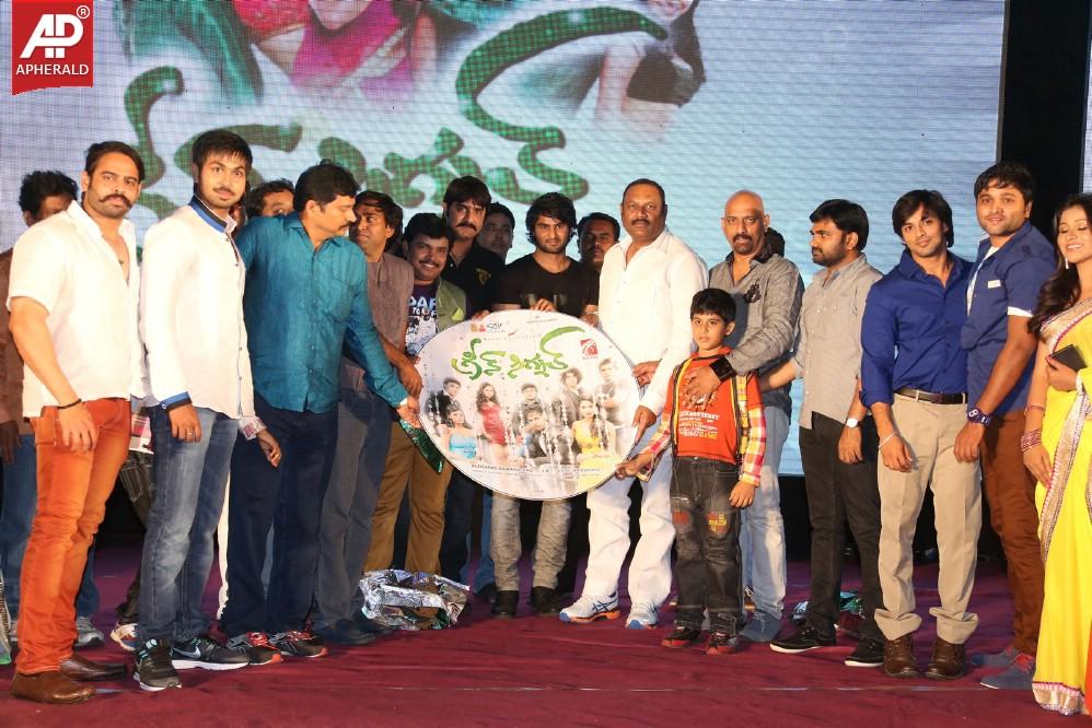 Green Signal Audio Launch