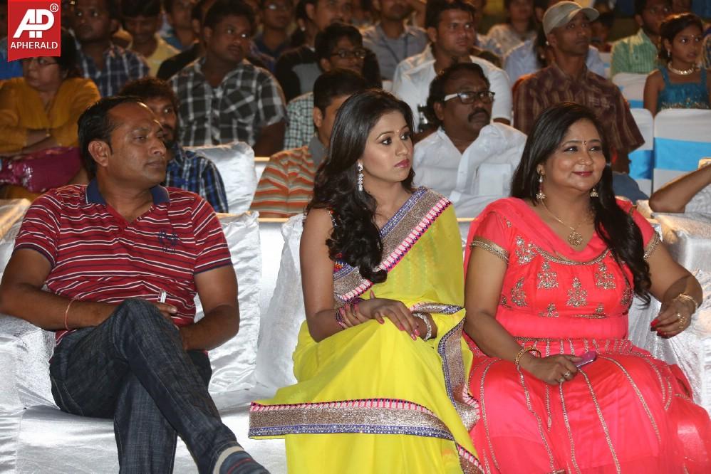 Green Signal Audio Launch