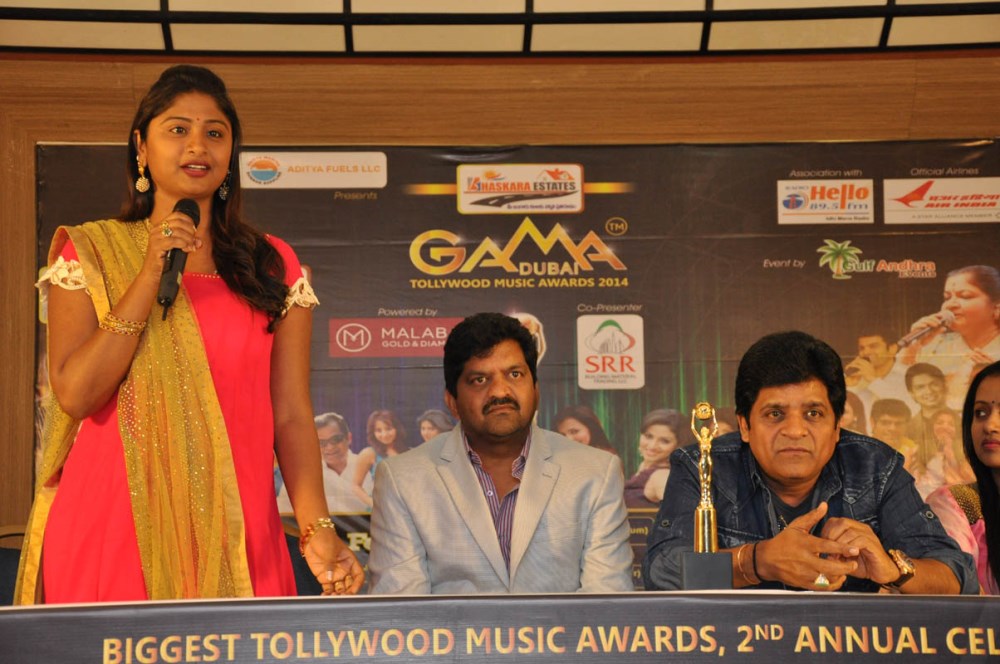 Gulf Andhra Music Awards 2014 Press Meet