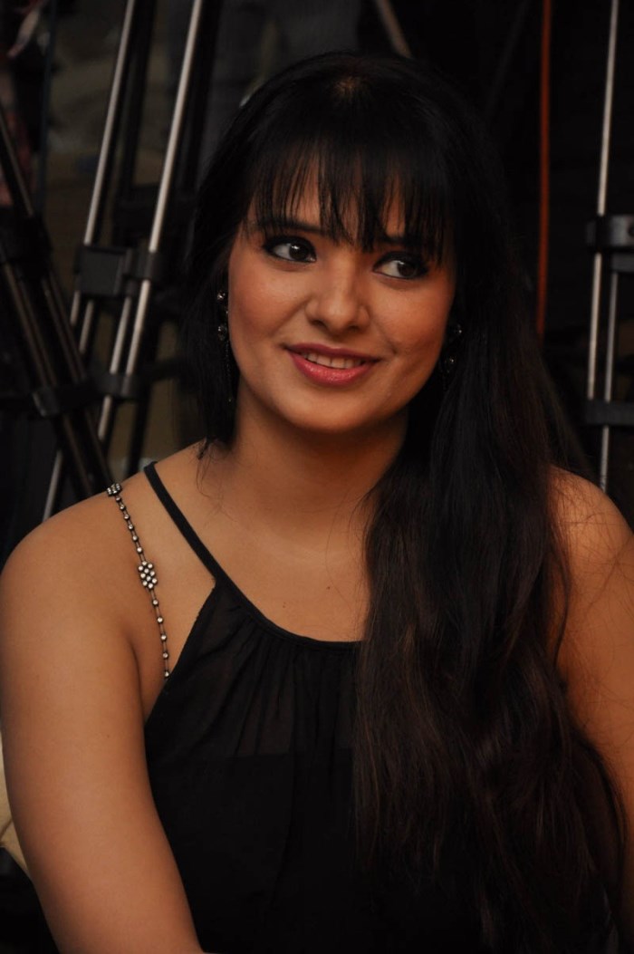 Gulf Andhra Music Awards 2014 Press Meet