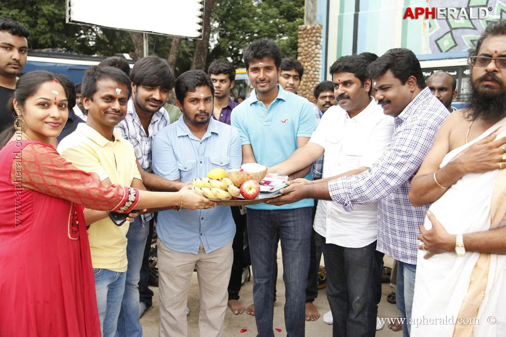 Hansika at Maan Karate Movie Press Meet