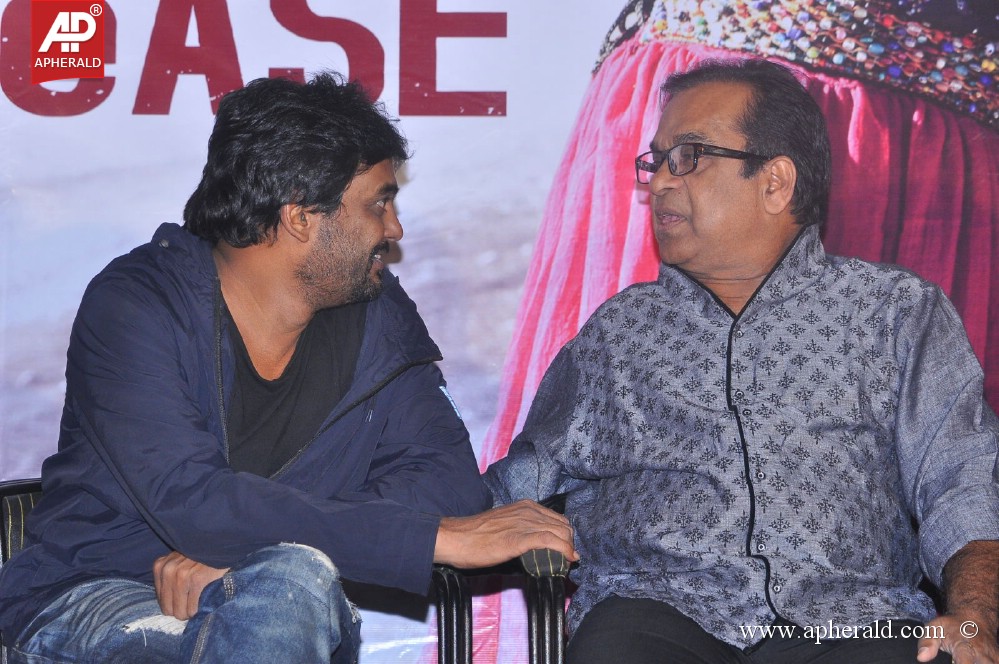 Heart Attack Movie Audio Success Meet