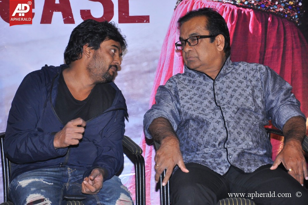 Heart Attack Movie Audio Success Meet