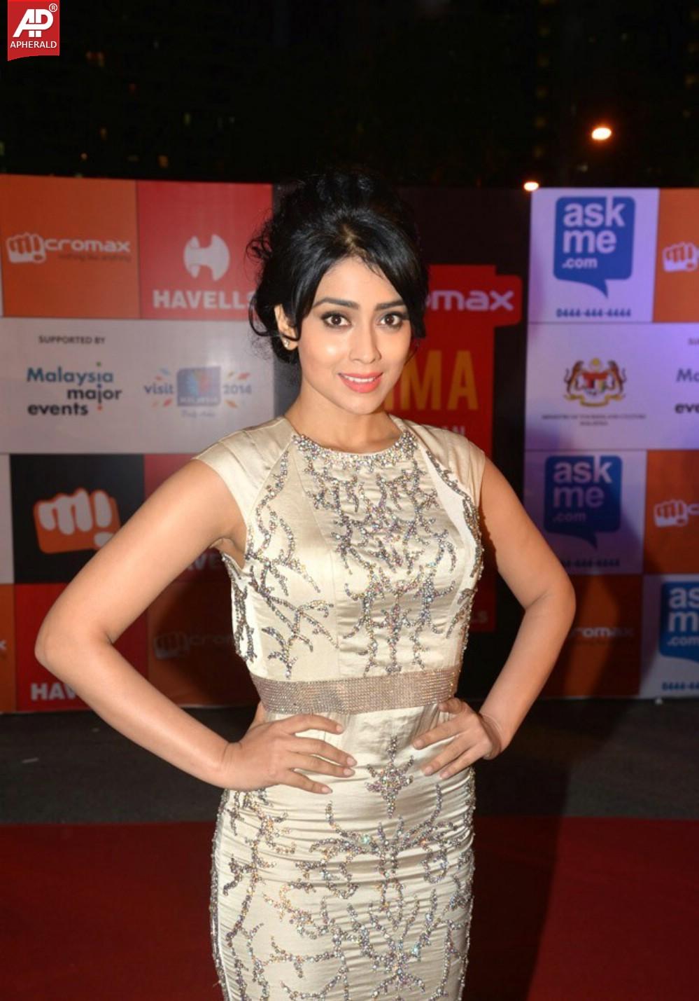 Hot Celebs at SIIMA 2014