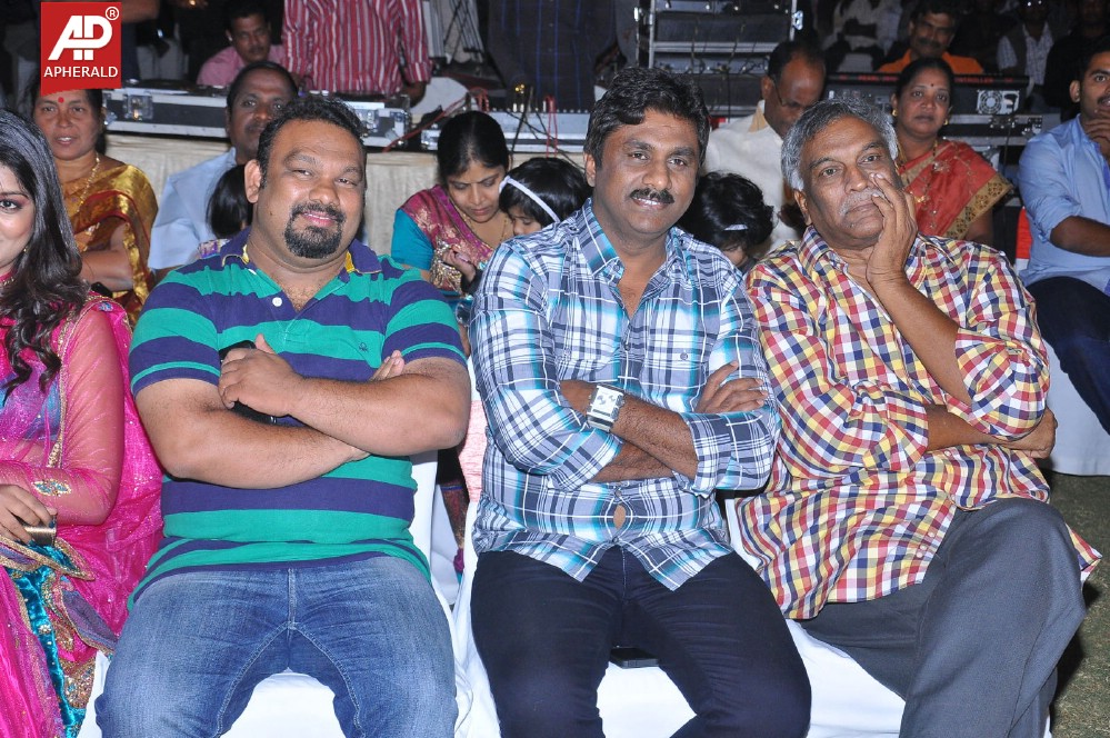 Hrudaya Kaleyam Movie Audio Launch