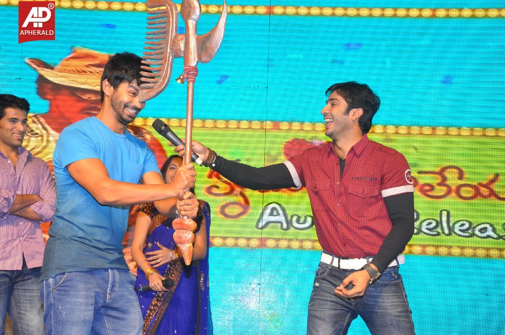 Hrudaya Kaleyam Movie Audio Launch