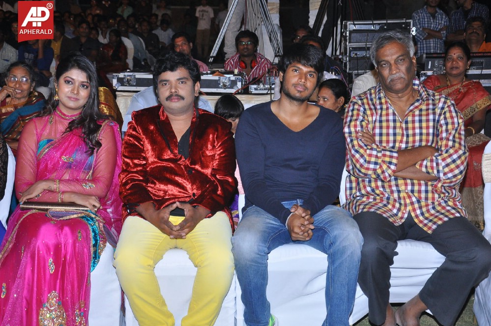 Hrudaya Kaleyam Movie Audio Launch