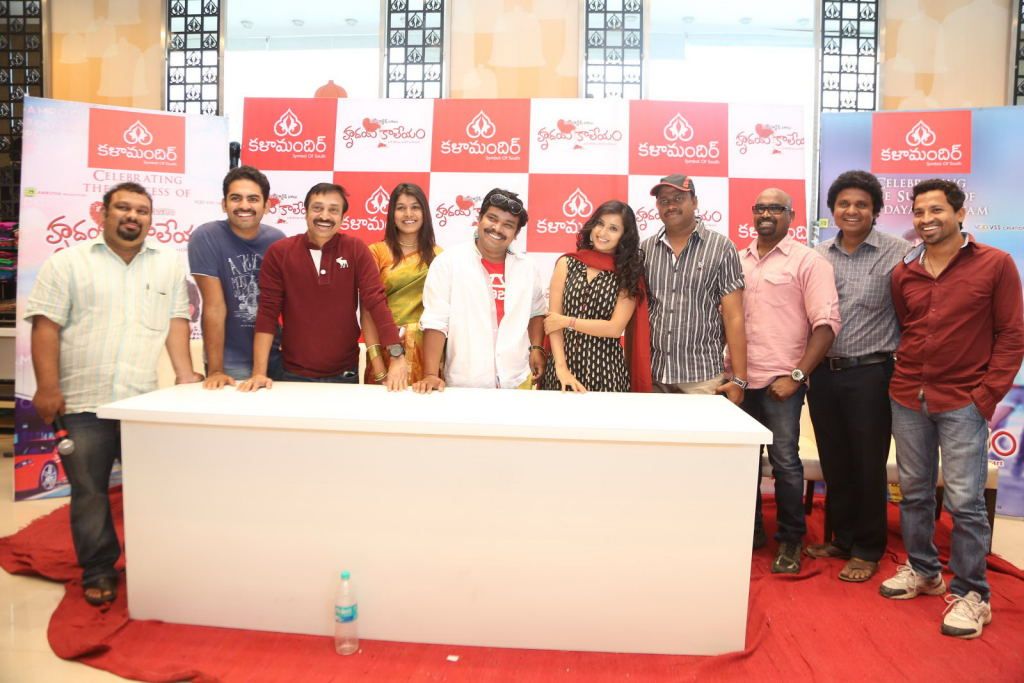 Hrudaya Kaleyam Success Meet at Kalamandir