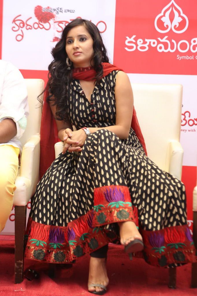 Hrudaya Kaleyam Success Meet at Kalamandir