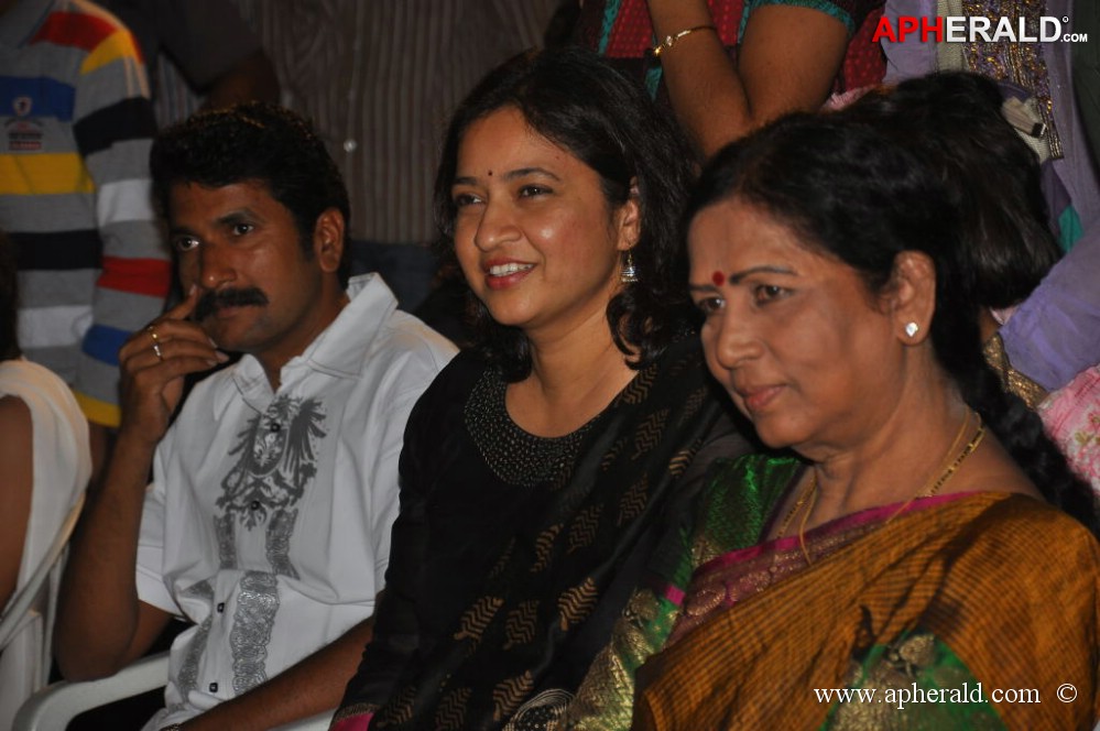 Hrudayam Ekkadunnadi Movie Audio Launch