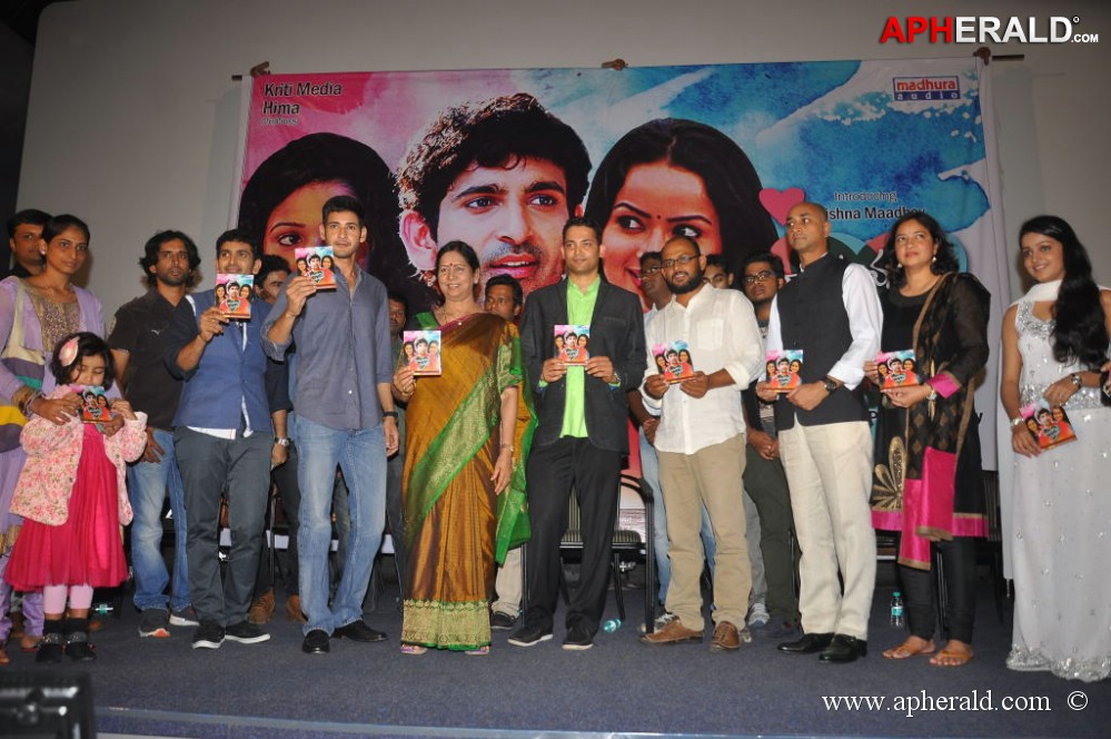 Hrudayam Ekkadunnadi Movie Audio Launch