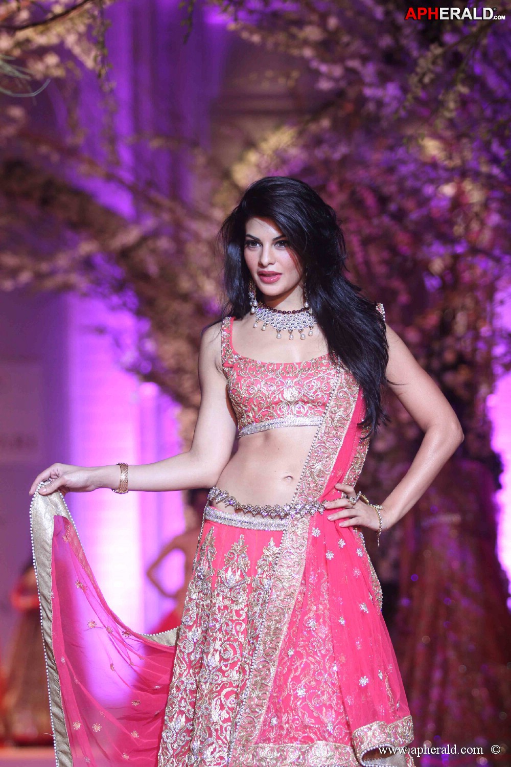 Indian Bridal Fashion Week 2013