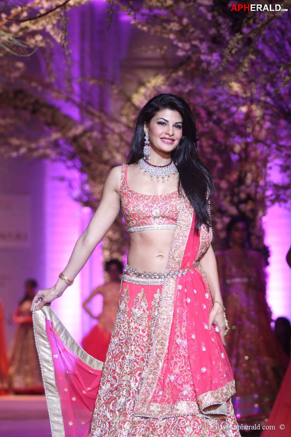 Indian Bridal Fashion Week 2013