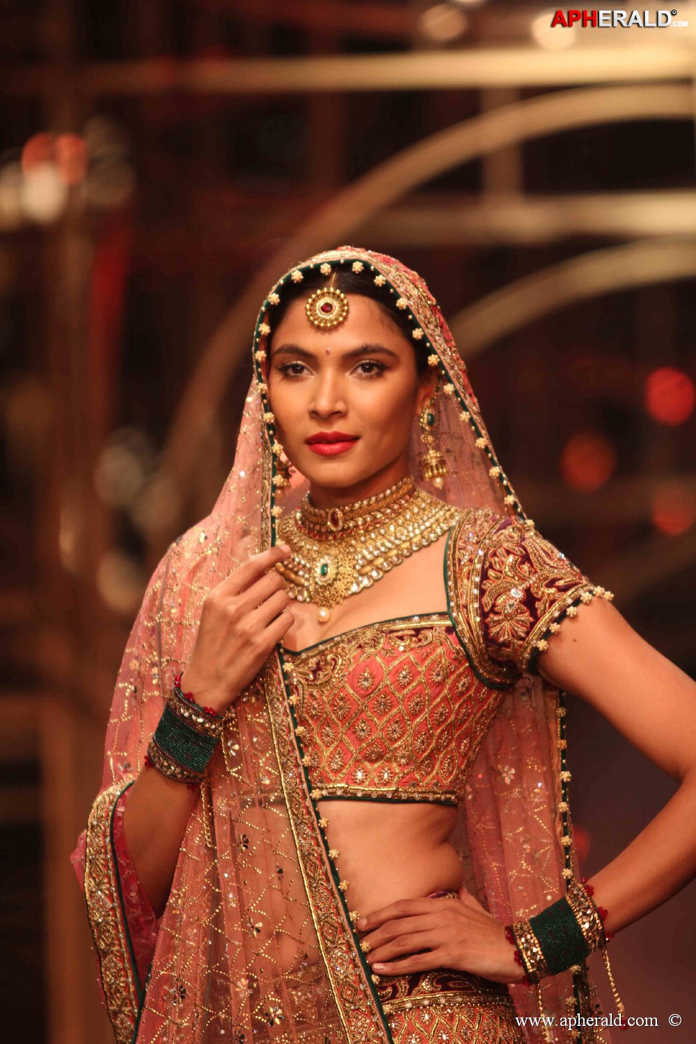 Indian Bridal Fashion Week 2013