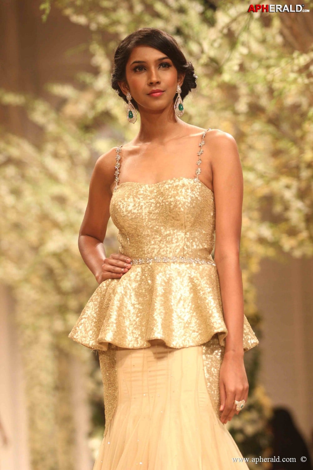 Indian Bridal Fashion Week 2013