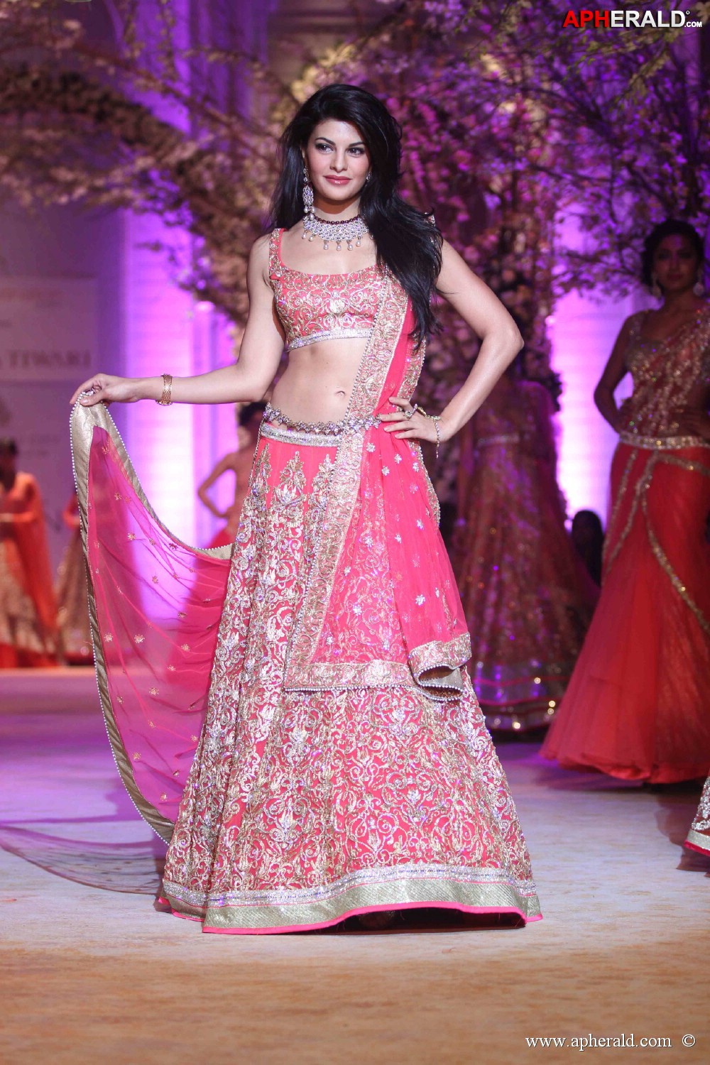 Indian Bridal Fashion Week 2013