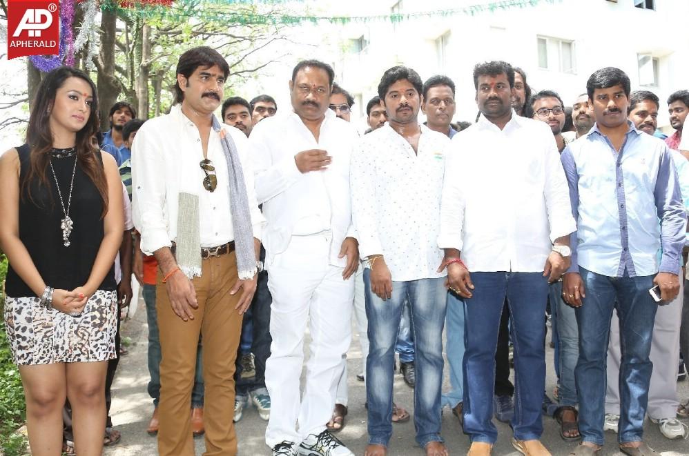 Jalsa Rayudu Movie Opening Stills