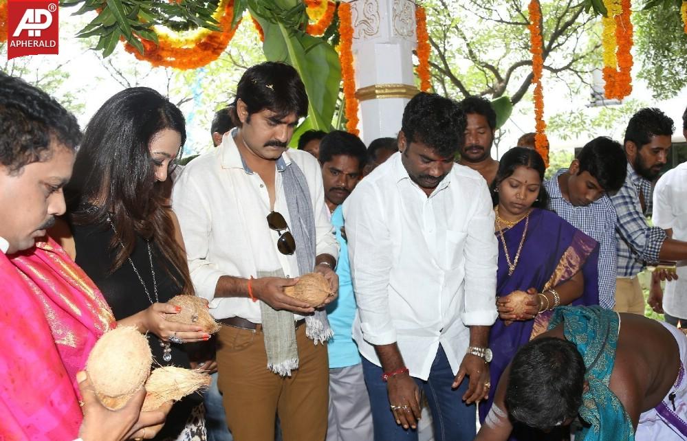 Jalsa Rayudu Movie Opening Stills