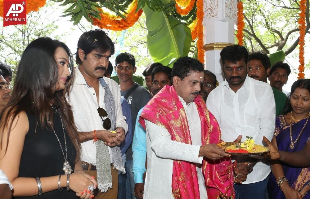 Jalsa Rayudu Movie Opening Stills