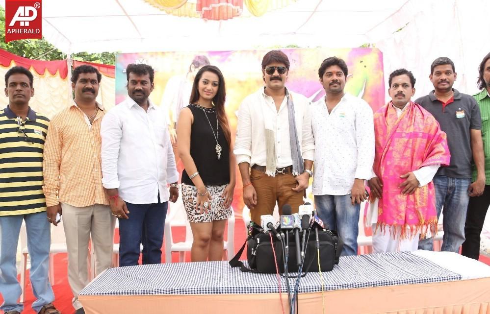 Jalsa Rayudu Movie Opening Stills