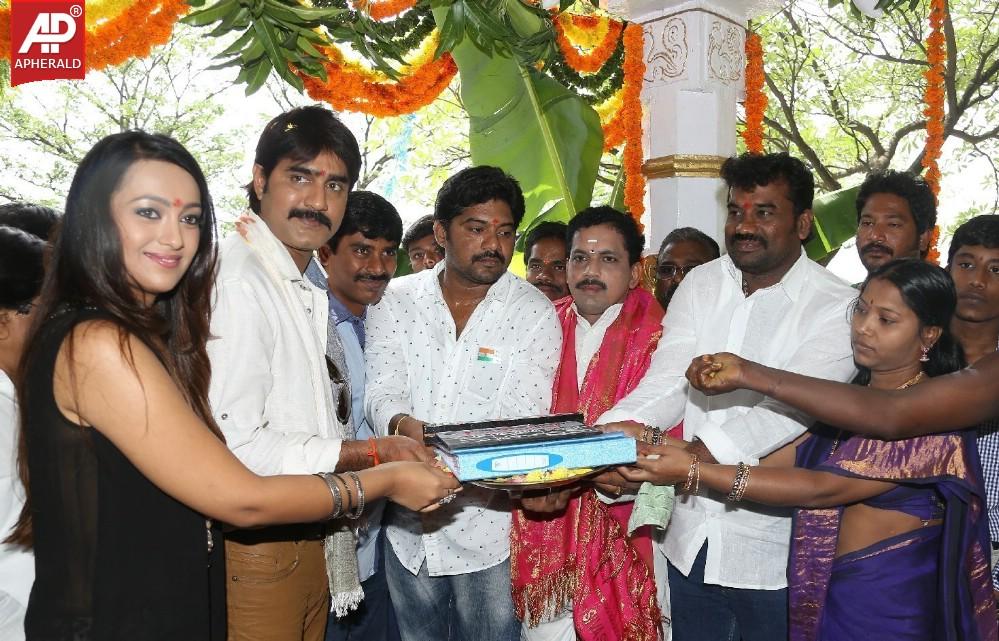 Jalsa Rayudu Movie Opening Stills