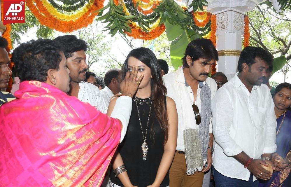 Jalsa Rayudu Movie Opening Stills