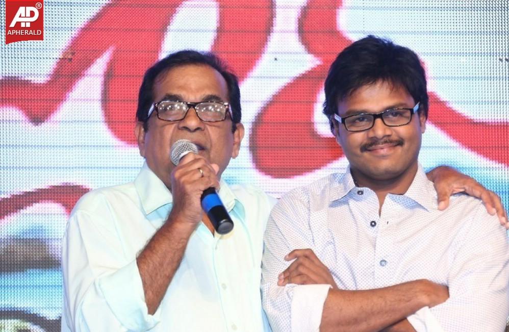 Joru Movie Audio Launch