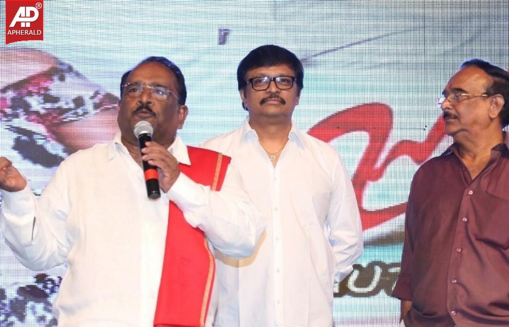 Joru Movie Audio Launch