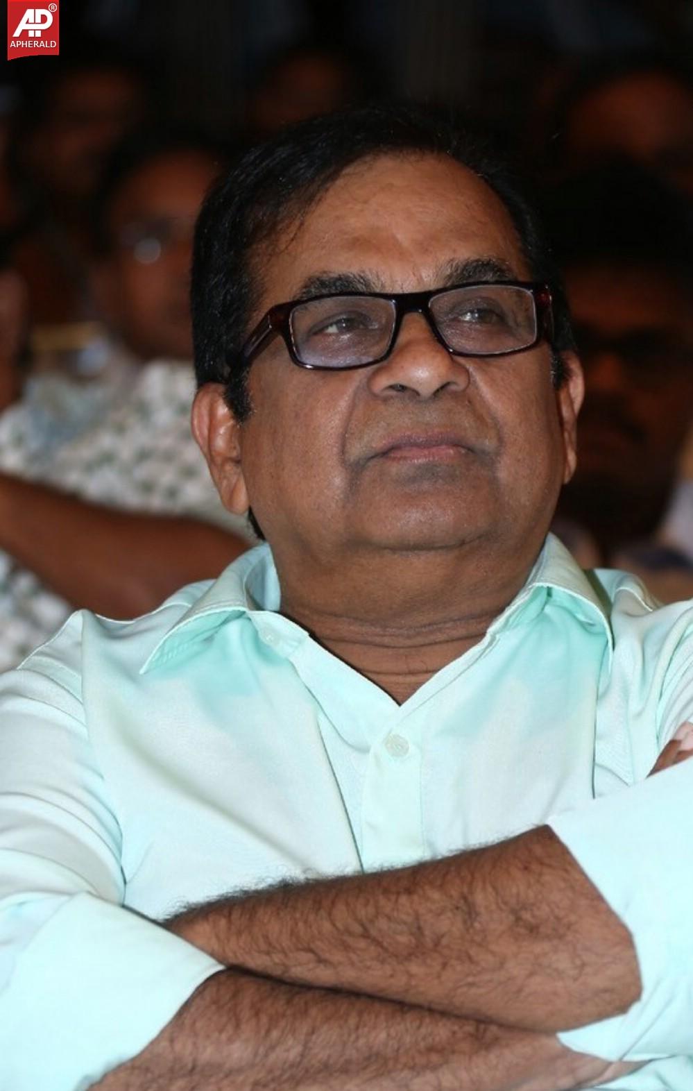 Joru Movie Audio Launch