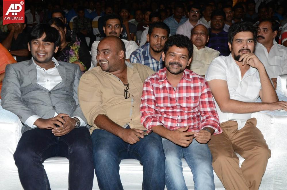 Karthikeya Audio Launch 01