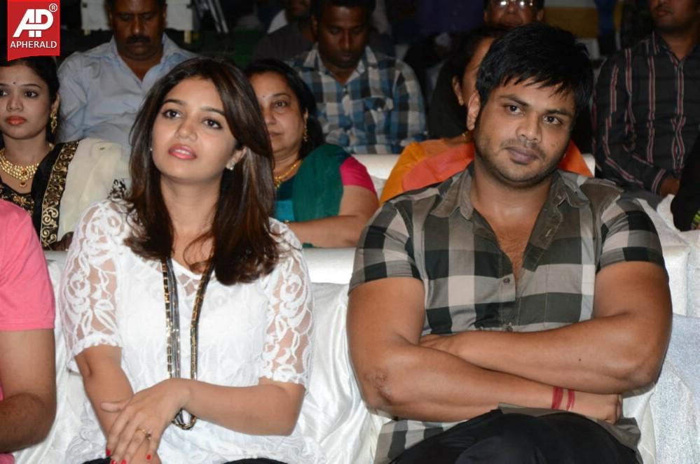 Karthikeya Audio Launch 02