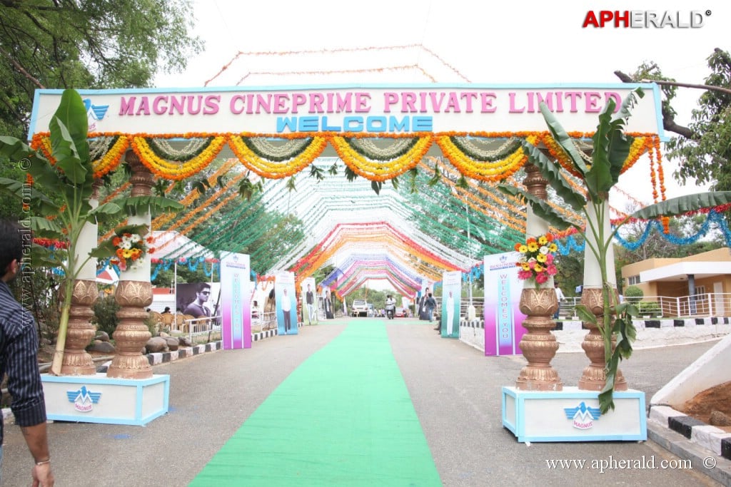 Karthikeya Movie Opening Photos