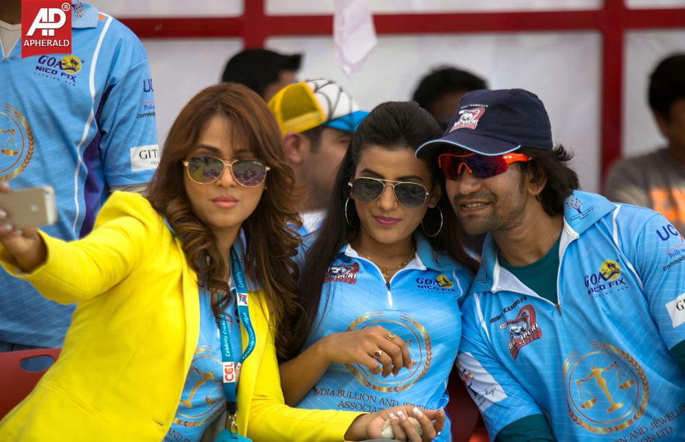 Kerala Strikers Vs Bhojpuri Dabanggs Match Pics