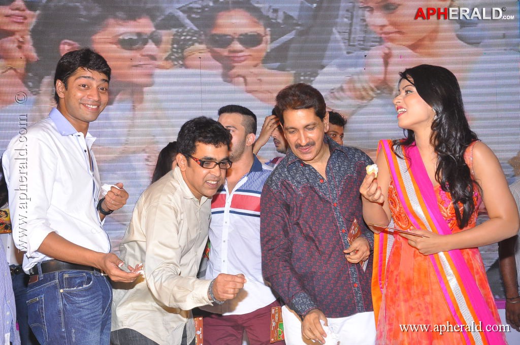 Kevvu Keka Movie Audio Launch