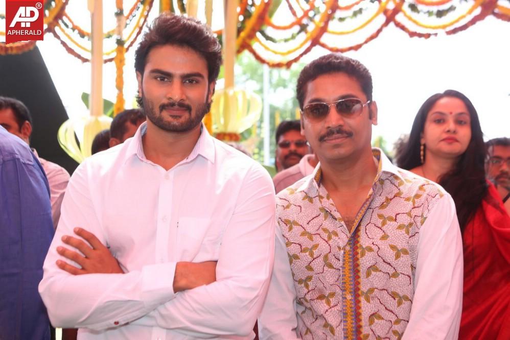 Krishnamma Kalipindi Iddarini Movie Opening