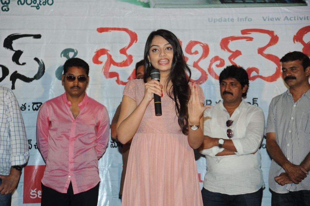 Ladies and Gentleman Song Launch Stills