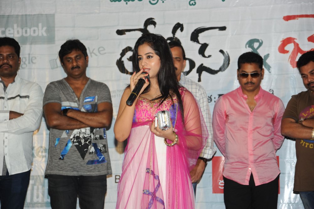Ladies and Gentleman Song Launch Stills