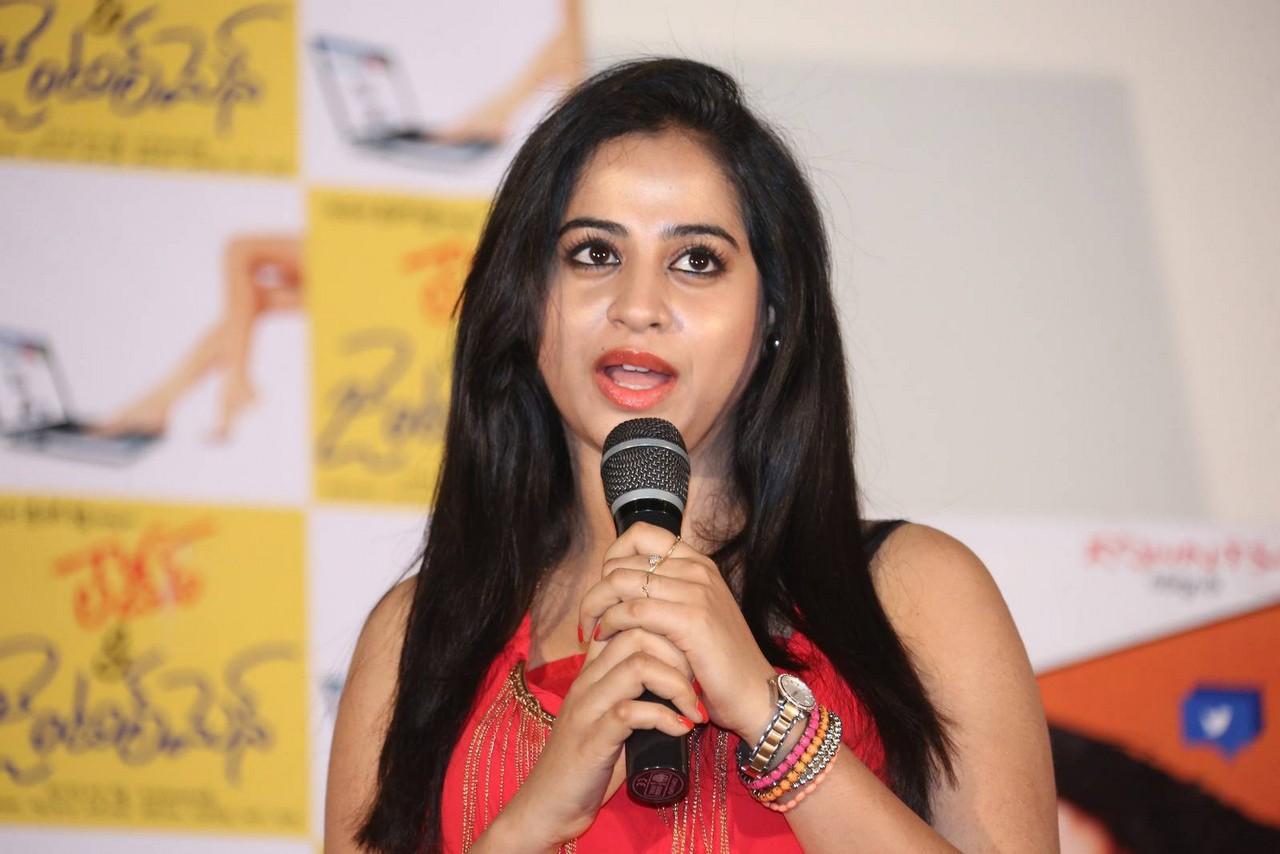 Ladies and Gentlemen Movie Success Meet photos